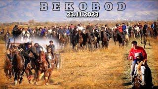 23.11.2023 BEKOBOD OʻZBEK BIRLASHUV KOʻPKARI TOʻLIQ VIDEO.