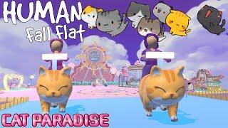 We went to Cat Paradise on Human Fall Flat and completed an obby!