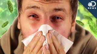 Cold vs. Flu: What's The Difference?