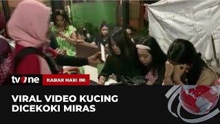 Nasib 3 Mahasiswi Viral Cekoki Kucing dengan Miras | Kabar Hari Ini tvOne