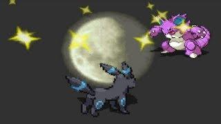 ~EPIC UMBREON SWEEP~