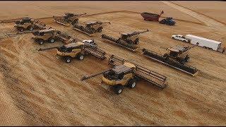 Wheat harvest 2017. Canada. MY AGRO #MYAGROTOURS