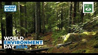 World Environment Day 2024