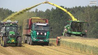 Jagd auf Triticale - John Deere 9700i beim GPS häckseln - LU Henfling - LU Schreglmann - Tatra LKW