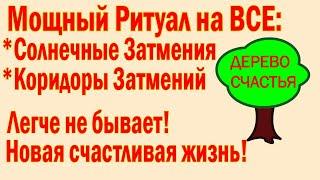 МОЩНЫЙ РИТУАЛ НА СОЛНЕЧНОЕ ЗАТМЕНИЕ/ЛЕГКО И ПРОСТО/ВАЖНО НАЛАДИТЬ ЖИЗНЬ/РИТУАЛ НА УДАЧУ И СЧАСТЬЕ !