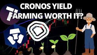 Cronos Yield Farming Worth It? VVS Finance!