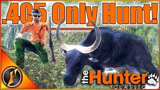 .405 ONLY Hunt! New PB Banteng! | Thank You for 405k! | theHunter Classic