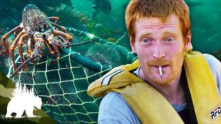 Meet New Zealand's Bounty Divers | Spiky Gold Hunters | Episode 1