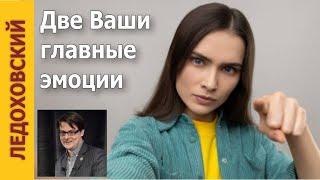 Как управляться с Вашими главными эмоциями? — Игорь Ледоховский. Разговорный гипноз