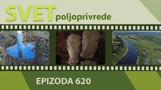 Koji je proveren recept za uspeh na selu? | Svet poljoprivrede - ep, 620.