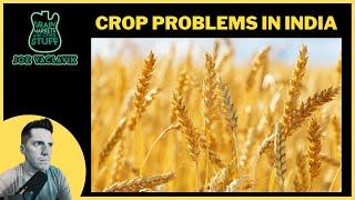 MORE Global Wheat Problems