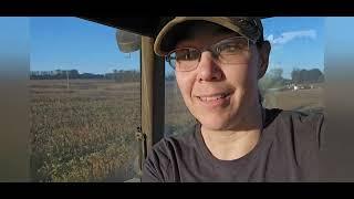 Preparing wheat ground with the farmer's wife