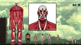 Attack On Titan Size Comparison 2020 Colored