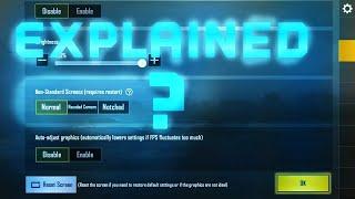 NON STANDARD DISPLAY SETTING EXPLAINED! PUBG MOBILE : By EaglWraih
