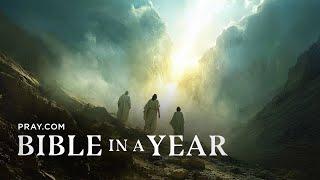 197. A Beautiful Transfiguration - The Gospels | Bible in a Year