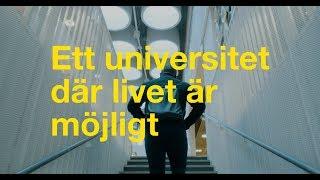 Ett universitet där livet är möjligt