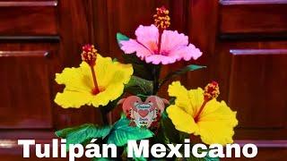 ️Tutorial Tulipán Mexicano/Hibiscus/obelisco/rosa china de fomi/goma Eva con Rosa Riscada Annser 