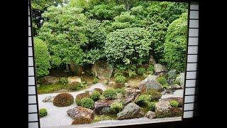 おうちで坐禅　～雨の石庭～   by  妙心寺退蔵院  Zazen at home  ~ Dry landscape garden in rain ~ by Taizoin