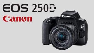 Canon EOS 250D // Aufbau, Funktionen, Bedienung, Vor- Nachteile... // Fazit & Empfehlung 