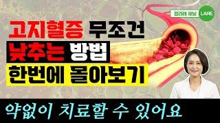 고지혈증 있을 때 꼭 피해야 하는 음식 외 고지혈증, 콜레스테롤 관리 모음집. 60분 재생 [정라레]