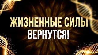 Внутренние ОРГАНЫ и Системы ВОССТАНОВЯТСЯ! | исцеляющая медитация