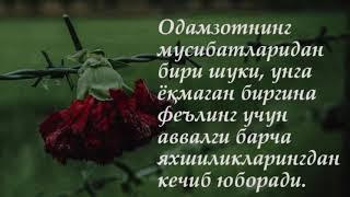 АФОРИЗМЛАР  хикматли сузлар ️ Сенга ишонамиз-сен ўзингга ишонсанг бўлди!!!