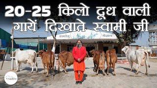 20-25 किलो दूध वाली गायें दिखाते स्वामी जी | #sahiwal #cow | #tharparkar #cow | Sahiwal Elite Cows