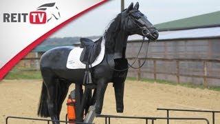 Reiten lernen: Reitunfall - So fallt ihr richtig vom Pferd