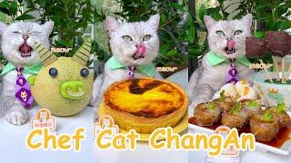 “Chef Cat ChangAn” Yummy Recipes In JUNE(ASMR)  | Easy Food Recipes | Cat Cooking-TikToks