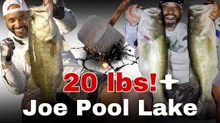 Joe Pool Lake - Epic Bass Fishing Day‼️ #bassfishing #fishing