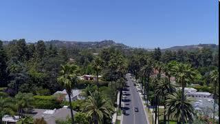 beverly hills street with palm trees