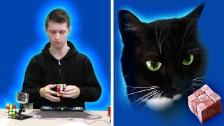 Feliks Zemdegs VS Felix The Cat || Rubik's Cube Battle Challenge