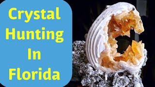 Crystal Hunting in Florida for Golden Calcite, Sharks Teeth & Fossils