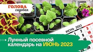 Голова садовая - Лунный посевной календарь на ИЮНЬ 2023