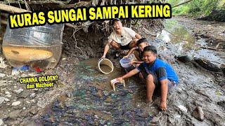 PANEN!! KERINGIN SUNGAI MARKAS IKAN MAZHEER DAN CHANNA GOLDEN..!!!!