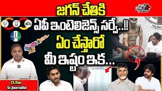 AP Intelligence Latest Survey On AP Elections 2024 | YS Jagan Vs Chandrababu | CS Rao | Wild Wolf