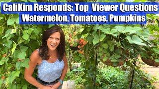 CaliKim Responds: Top  Viewer Organic Garden Questions on Watermelon, Tomatoes & Pumpkins