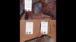 1 Million Year Old Human Artifacts Found in South Africa