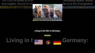 Living in the USA vs Germany #wildlife