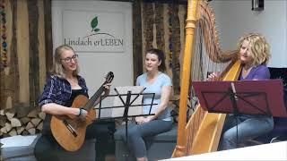 Zusammenwachsen (Kathi Stimmer-Salzeder): Saitenspiel: Silvia, Petra & Sabine