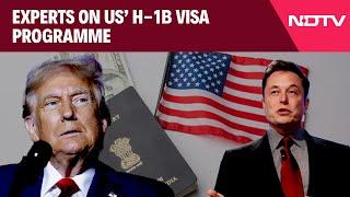 US Visa News | As Musk And Trump Back H-1B Visas, Experts Say It's Likely To Continue