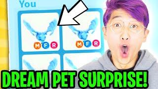 Can LANKYBOX SURPRISE THEIR BEST FRIEND With DREAM PET In ADOPT ME!? (MEGA NEON FROST DRAGON!?)