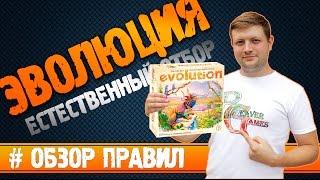 Настольная игра Эволюция Естественный отбор #Обзорправил