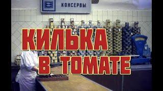 КИЛЬКА в томате обжаренная  не ГОСТ СССР, доброславская килька в томатном соусе в автоклаве