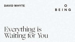 “Everything Is Waiting for You” — written and read by David Whyte