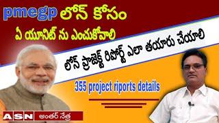 pmegp loan telugu||units project report details@Antharnetra