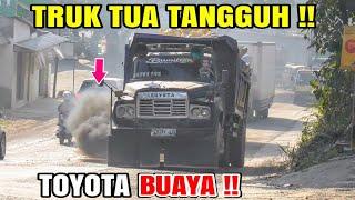 Truk tua TANGGUH !! TOYOA DA110, Nissan Condor, Dump Truk Fuso, Truk Kontainer VOLVO FM 370, GIGA