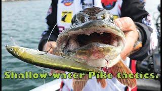 Csf 33 06 Pike Shallow-water action & tips.