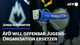 Medien: AfD will Jugendorganisation "Junge Alternative" ersetzen | AFP