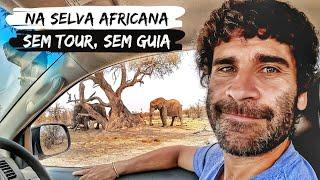 SAFARI NA ÁFRICA POR CONTA PRÓPRIA | Experiência surreal